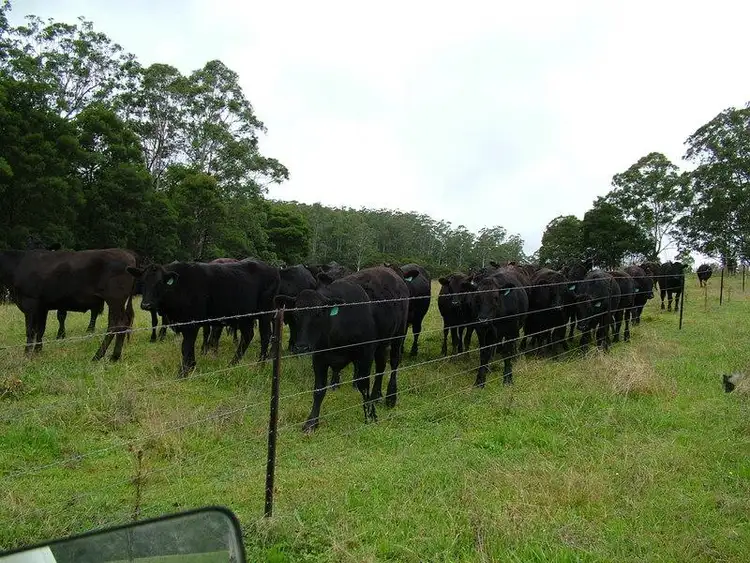 Sixth view of Homely rural property listing, - DODDS  Road, Nowendoc NSW 2354
