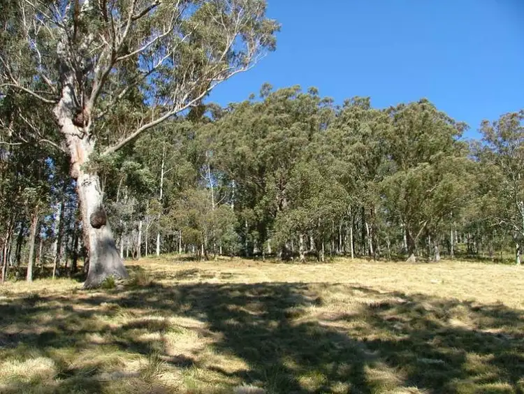 Second view of Homely land listing, LOT 3 CRAVEN PLATEAU Road, Craven Plateau NSW 2422