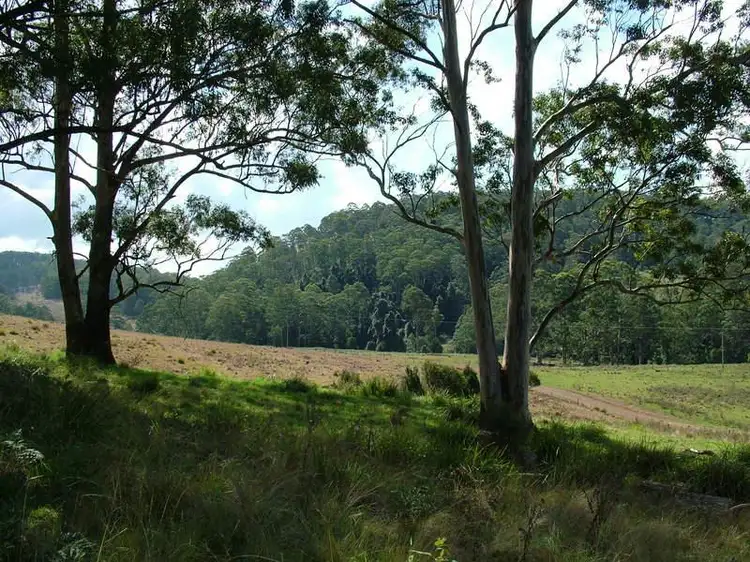 Third view of Homely land listing, LOT 3 CRAVEN PLATEAU Road, Craven Plateau NSW 2422