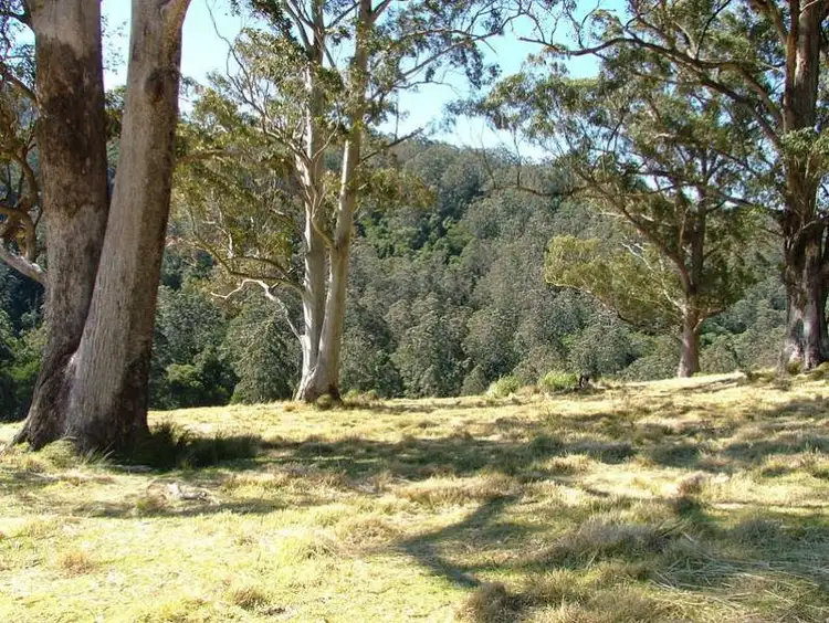 Fifth view of Homely land listing, LOT 3 CRAVEN PLATEAU Road, Craven Plateau NSW 2422