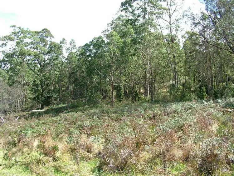 Fifth view of Homely land listing, LOT 2 CRAVEN PLATEAU Road, Craven Plateau NSW 2422