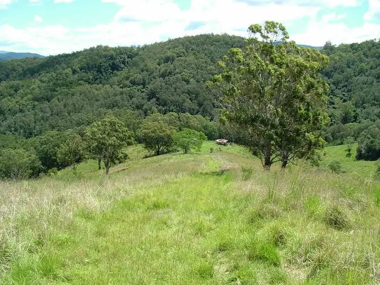 Main view of Homely rural property listing, Lot 496 Callaghans Creek Road, Bundook NSW 2422