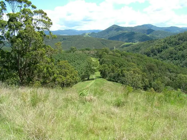 Second view of Homely rural property listing, Lot 496 Callaghans Creek Road, Bundook NSW 2422