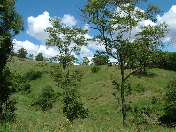 Third view of Homely rural property listing, Lot 496 Callaghans Creek Road, Bundook NSW 2422