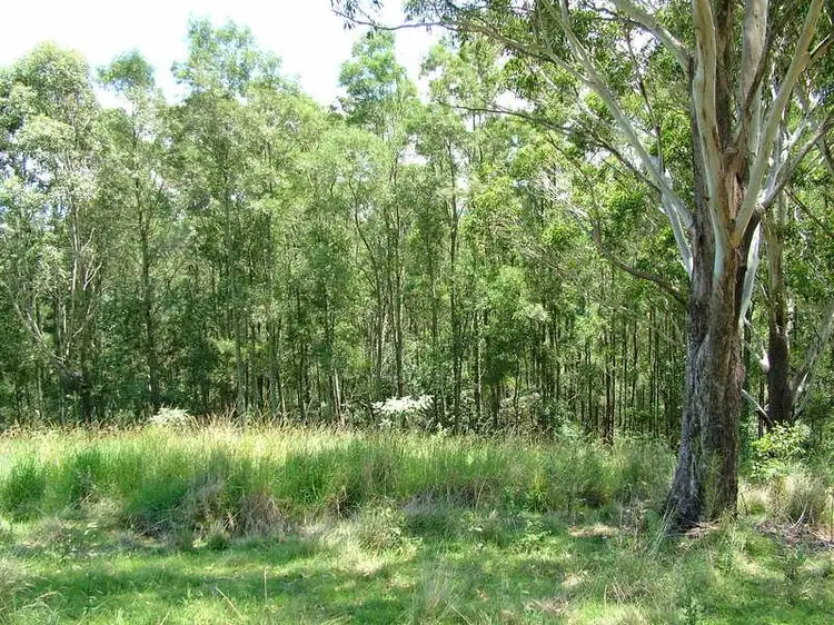 Fourth view of Homely rural property listing, Lot 496 Callaghans Creek Road, Bundook NSW 2422