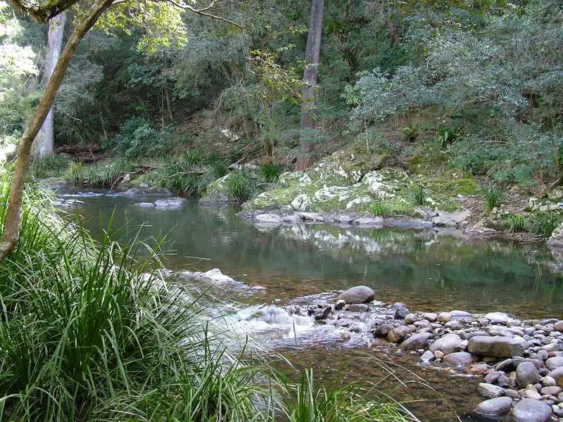 Main view of Homely rural property listing, - Moppy  Road, Rawdon Vale NSW 2422