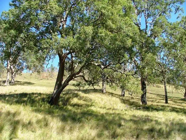 Second view of Homely rural property listing, - Moppy Road, Rawdon Vale NSW 2422