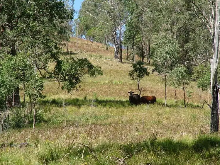 Third view of Homely rural property listing, - Moppy Road, Rawdon Vale NSW 2422