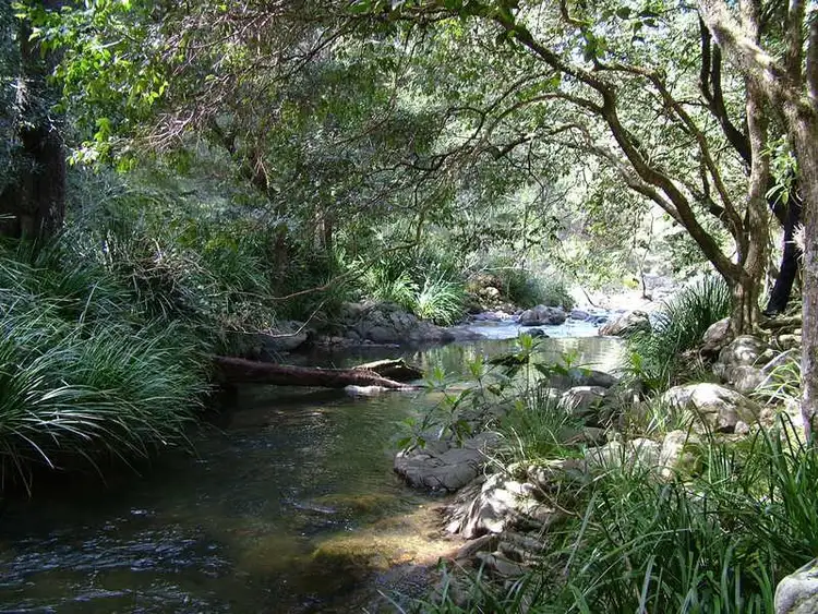 Fourth view of Homely rural property listing, - Moppy Road, Rawdon Vale NSW 2422