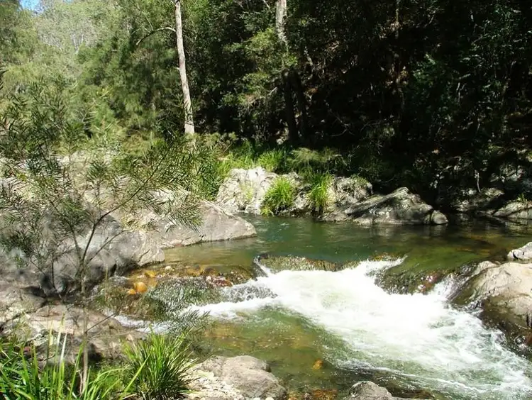 Seventh view of Homely rural property listing, - Moppy Road, Rawdon Vale NSW 2422