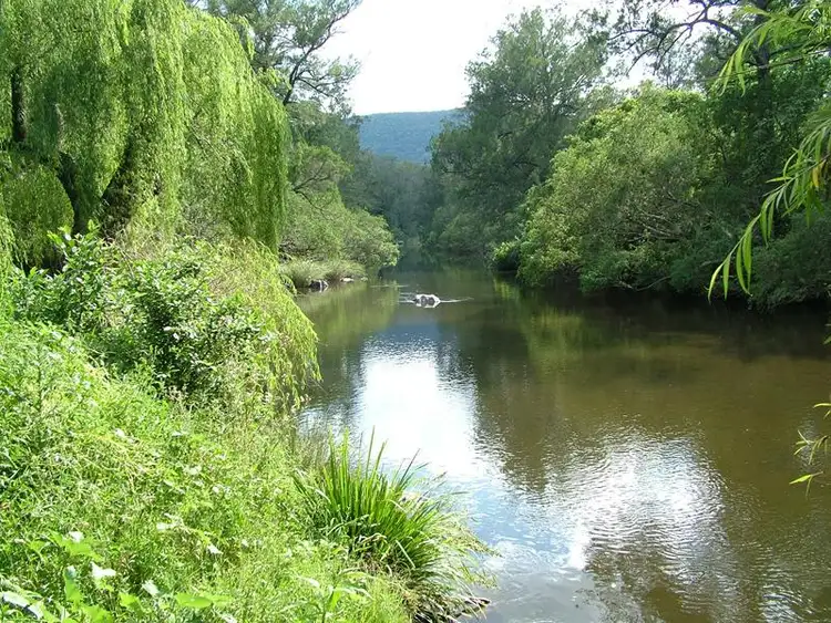 Third view of Homely rural property listing, 207 Cundle Flat Road, Cundle Flat NSW 2424