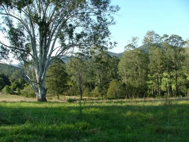 299 Callaghans Creek Road, Bundook NSW 2422