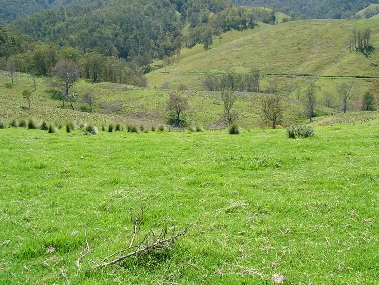 Second view of Homely rural property listing, - MOPPY CREEK Road, Moppy NSW 2422