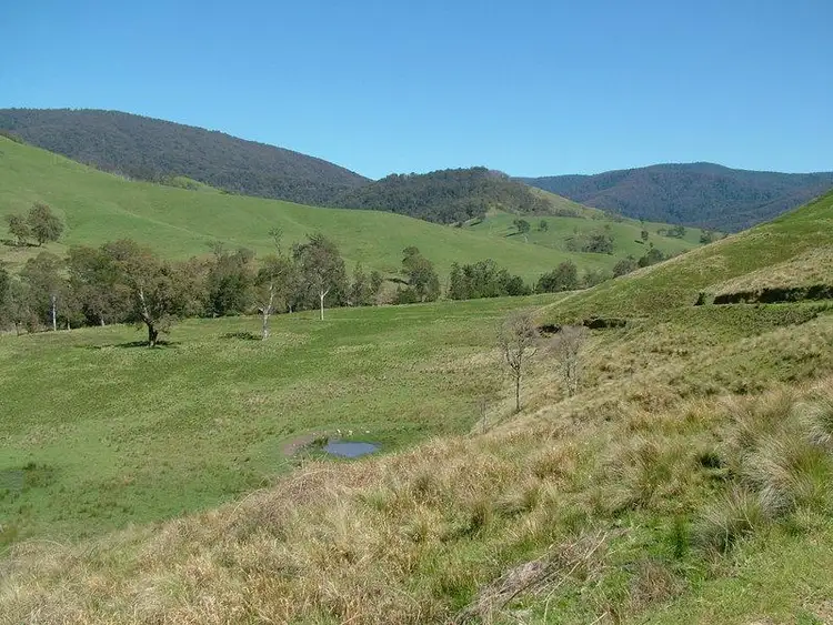 Third view of Homely rural property listing, - MOPPY CREEK Road, Moppy NSW 2422