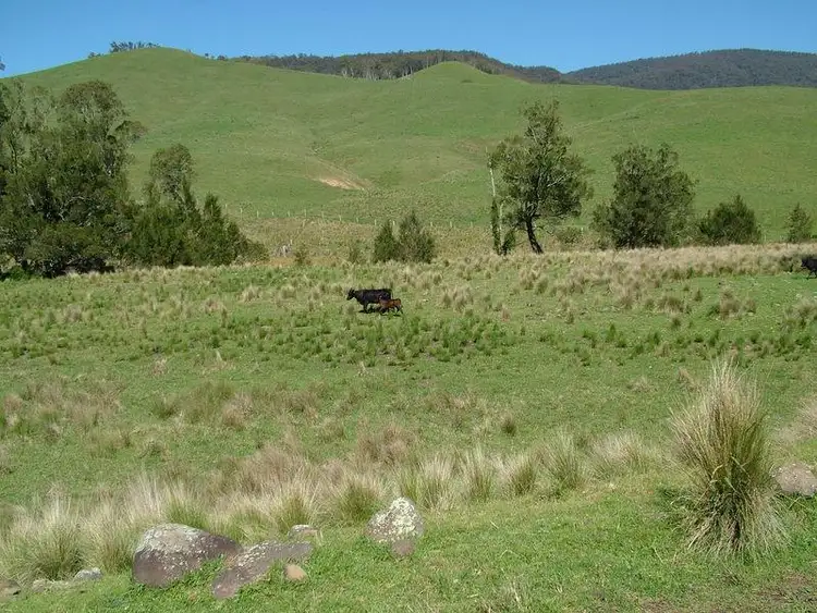 Fourth view of Homely rural property listing, - MOPPY CREEK Road, Moppy NSW 2422