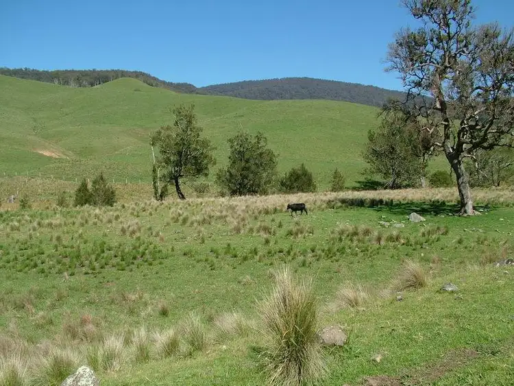 Fifth view of Homely rural property listing, - MOPPY CREEK Road, Moppy NSW 2422