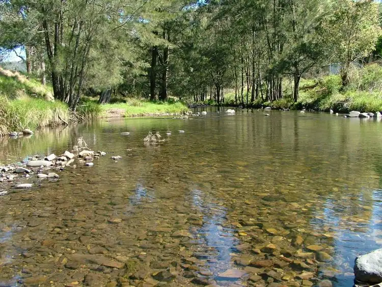 Seventh view of Homely rural property listing, - MOPPY CREEK Road, Moppy NSW 2422