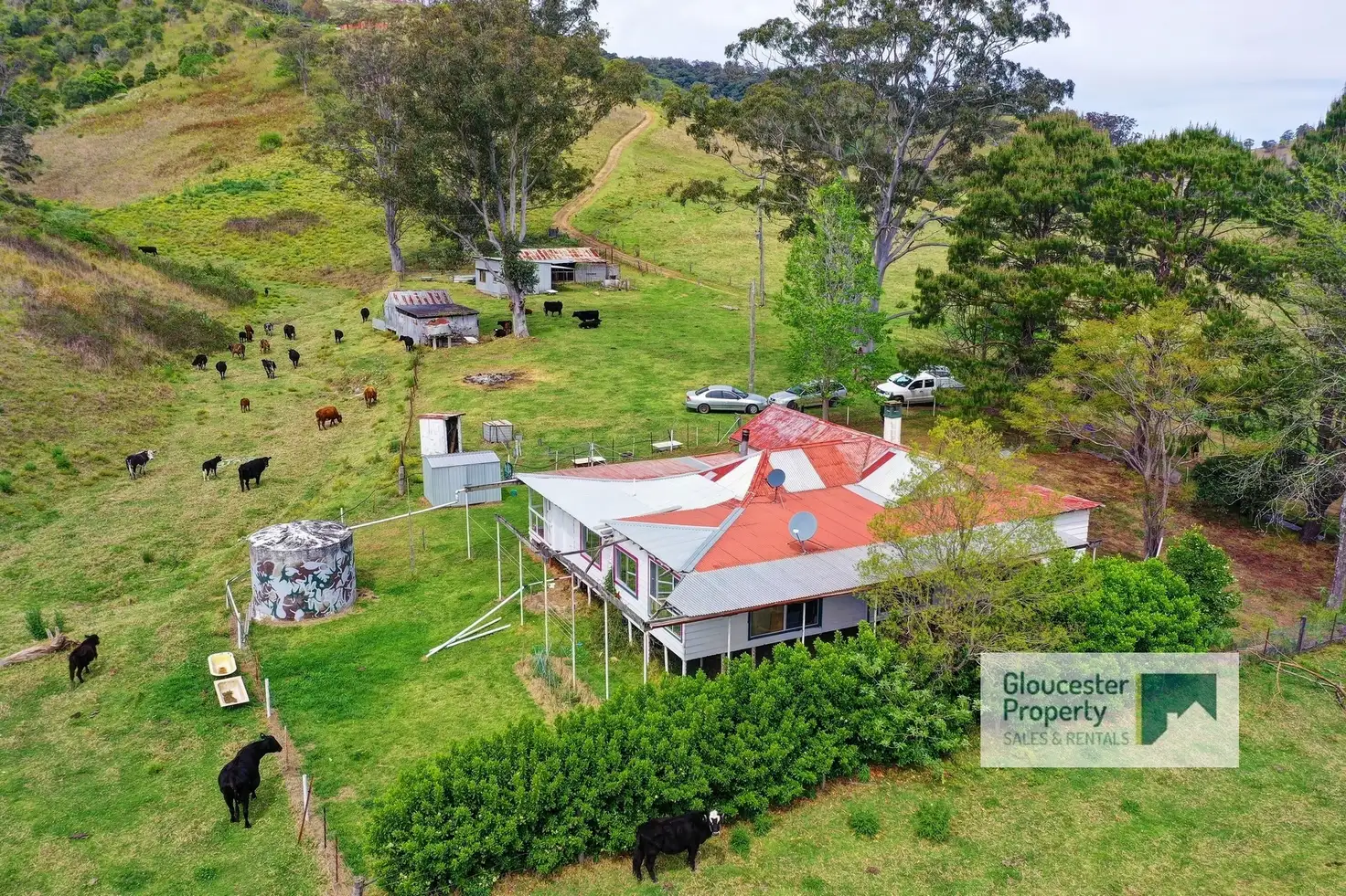 Main view of Homely rural property listing, 359 Titaatee Creek Road, Titaatee Creek NSW 2422