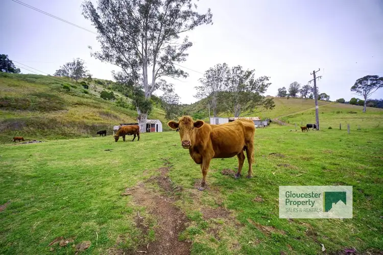 Second view of Homely rural property listing, 359 Titaatee Creek Road, Titaatee Creek NSW 2422