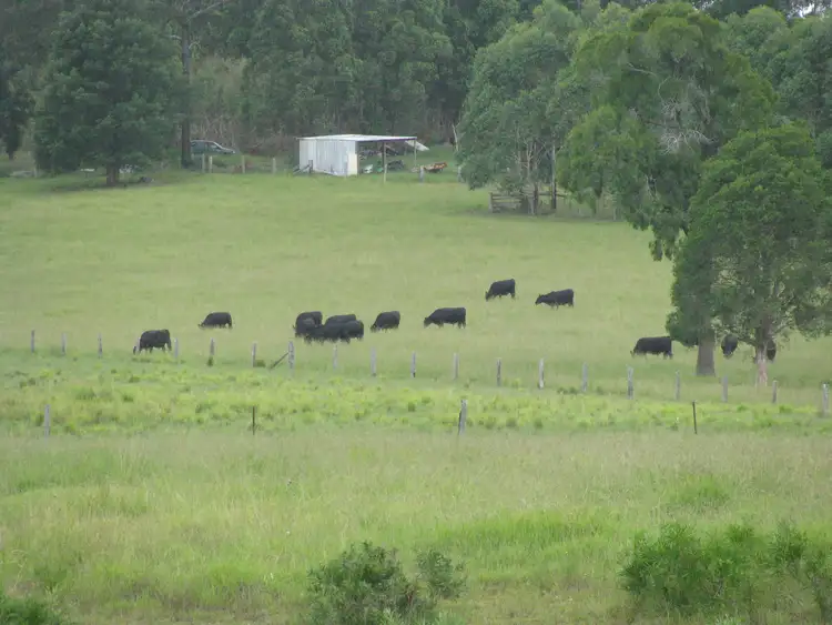 Fourth view of Homely rural property listing, 101 Kennedys Gap Road., Coolongolook NSW 2423