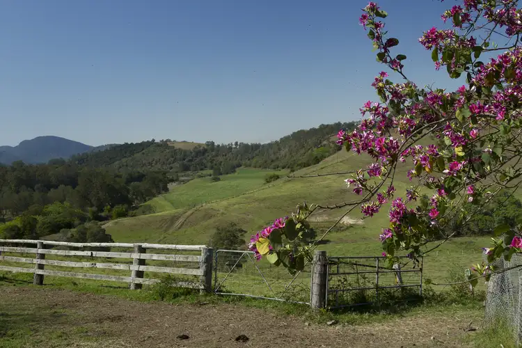 Third view of Homely rural property listing, 106 Tiri Road, Tiri NSW 2424