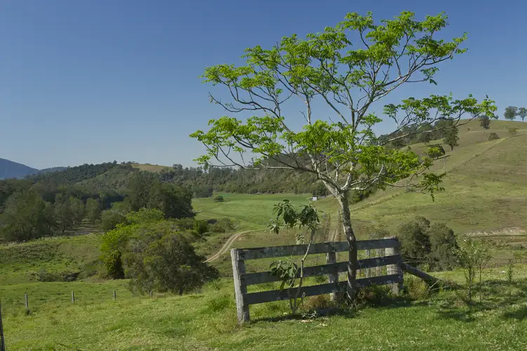 Fifth view of Homely rural property listing, 106 Tiri Road, Tiri NSW 2424
