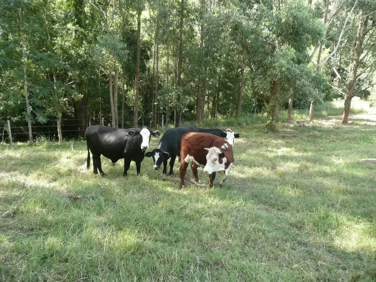 Third view of Homely rural property listing, Address available on request