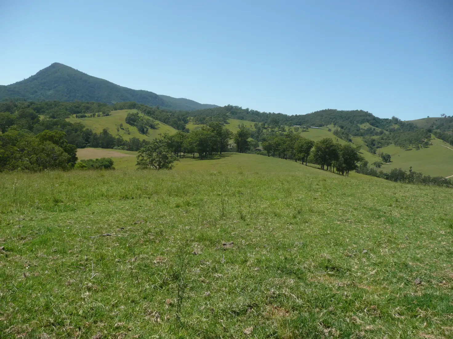 Main view of Homely rural property listing, Lot 7 Bakers Creek, Gloucester NSW 2422