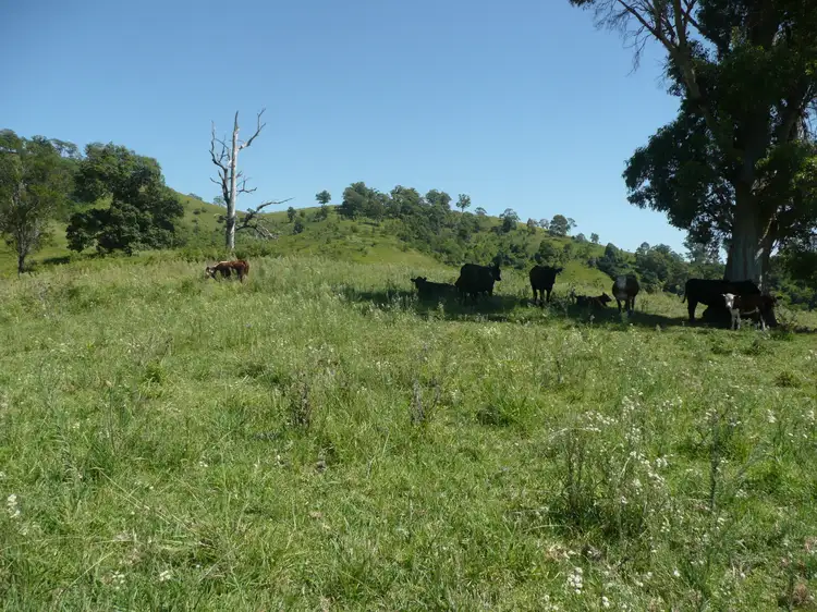 Third view of Homely rural property listing, Lot 7 Bakers Creek, Gloucester NSW 2422