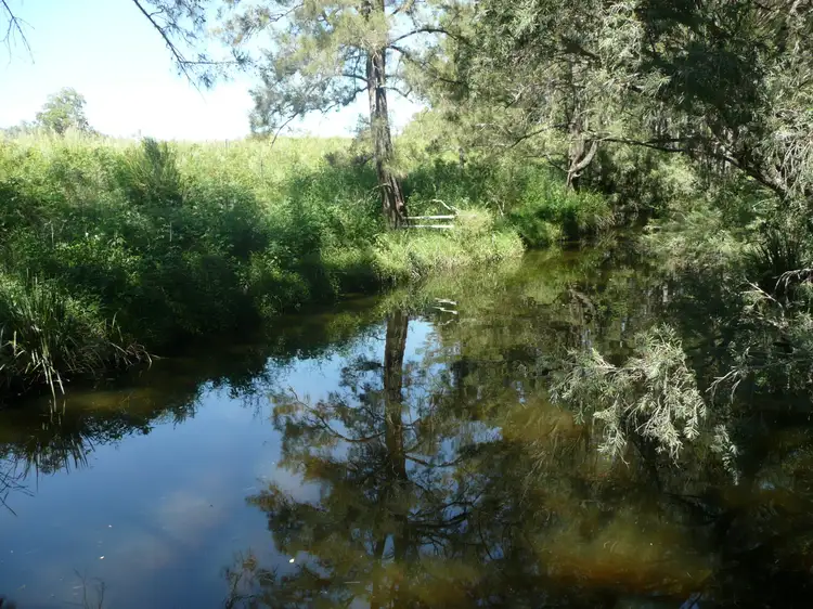 Fourth view of Homely rural property listing, Lot 7 Bakers Creek, Gloucester NSW 2422