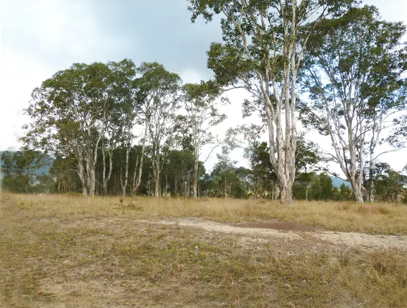 Main view of Homely land listing, 12 Ironbark Close, Gloucester NSW 2422