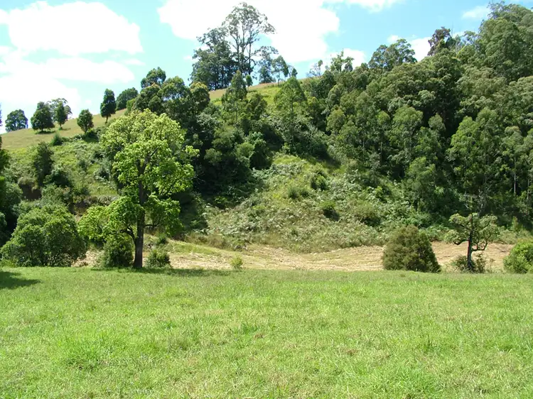Second view of Homely rural property listing, 2097 Waukivory Road, Waukivory NSW 2422
