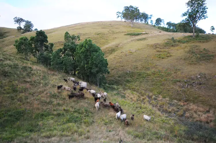 Third view of Homely rural property listing, 6 Kia Ora Road, Gloucester NSW 2422