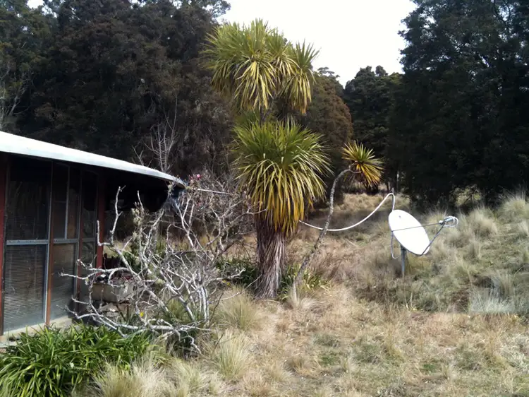Seventh view of Homely rural property listing, 3301 Tomalla Road, Scone NSW 2337