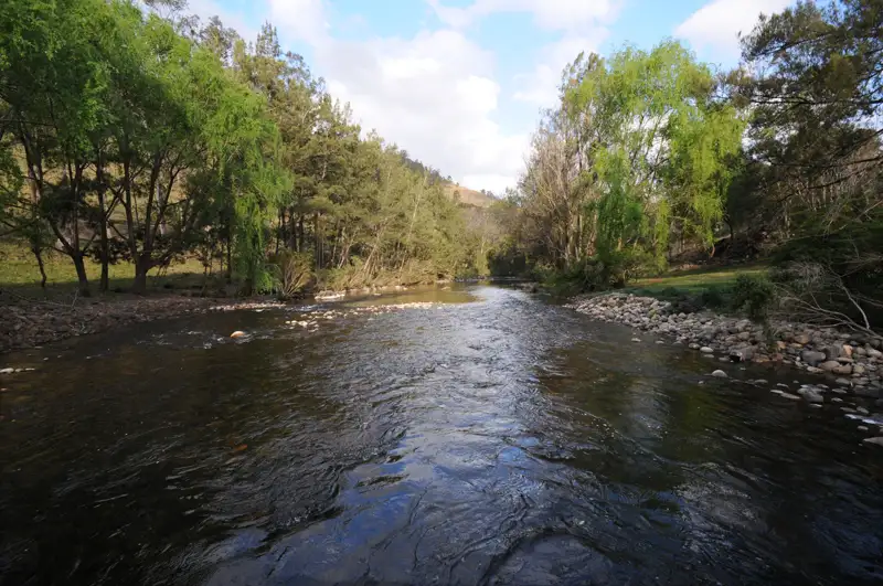 Main view of Homely rural property listing, 926 Westleys Road, Bindera NSW 2422