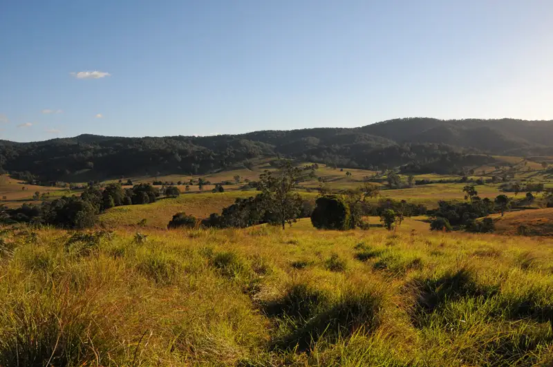 Main view of Homely rural property listing, 1783 Waukivory Road, Waukivory NSW 2422