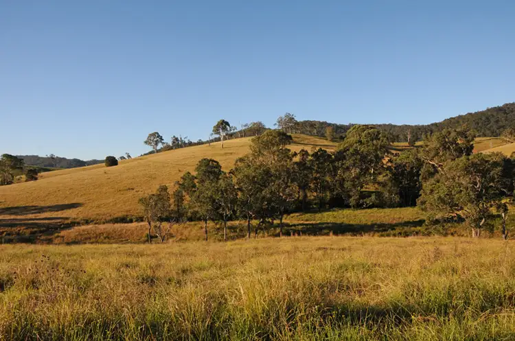Fourth view of Homely rural property listing, 1783 Waukivory Road, Waukivory NSW 2422