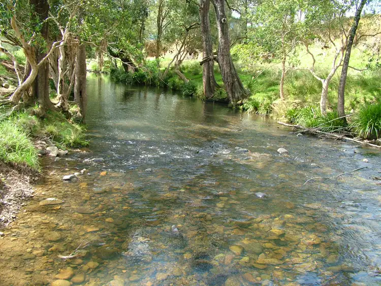 Lot 381 Bowman Farm Road, Rookhurst NSW 2422
