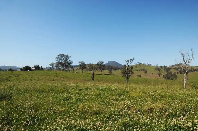 LOT 82 Beatties Island Road, Gloucester NSW 2422