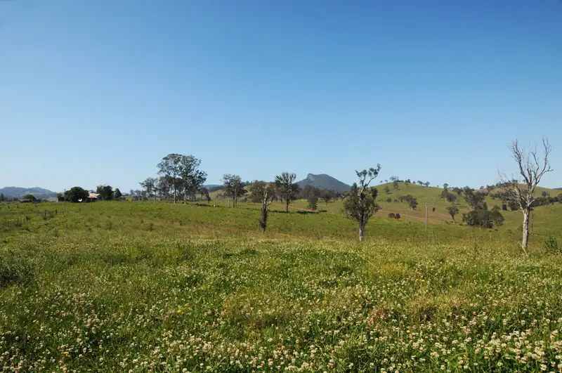 Main view of Homely rural property listing, LOT 82 Beatties Island Road, Gloucester NSW 2422