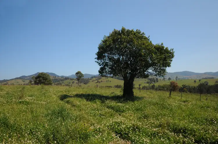 Sixth view of Homely rural property listing, LOT 82 Beatties Island Road, Gloucester NSW 2422