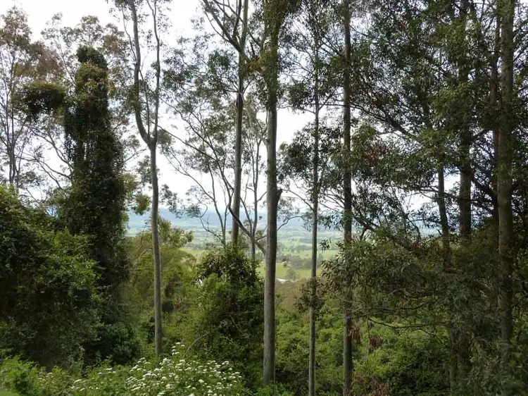 Second view of Homely rural property listing, 346 Crowthers Road,, Stratford NSW 2422