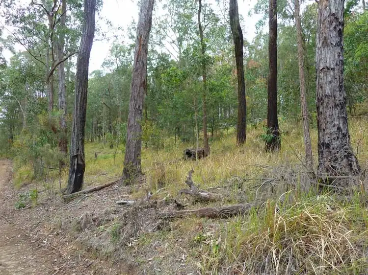 Fourth view of Homely rural property listing, 346 Crowthers Road,, Stratford NSW 2422