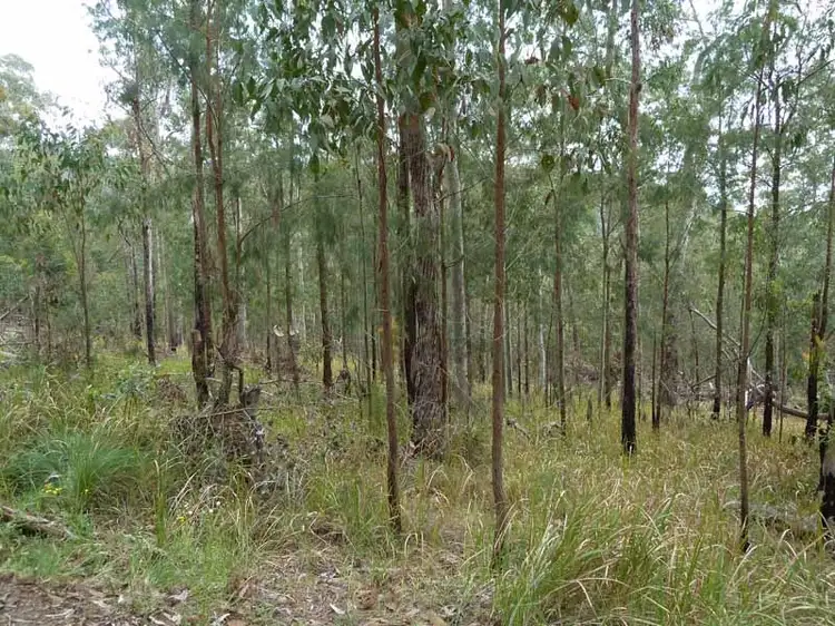 Fifth view of Homely rural property listing, 346 Crowthers Road,, Stratford NSW 2422