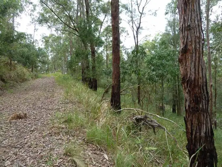Sixth view of Homely rural property listing, 346 Crowthers Road,, Stratford NSW 2422