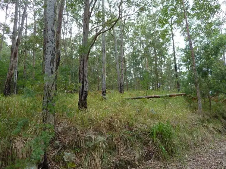 Seventh view of Homely rural property listing, 346 Crowthers Road,, Stratford NSW 2422