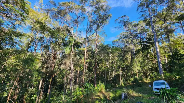 Third view of Homely rural property listing, 426 Doon Doon Road, Doon Doon NSW 2484