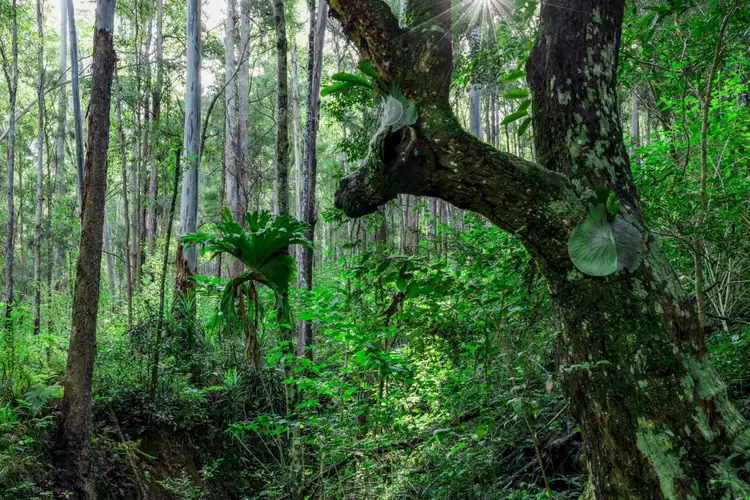 Fifth view of Homely rural property listing, Address available on request