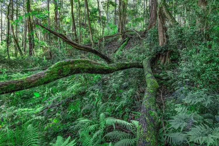 Sixth view of Homely rural property listing, Address available on request