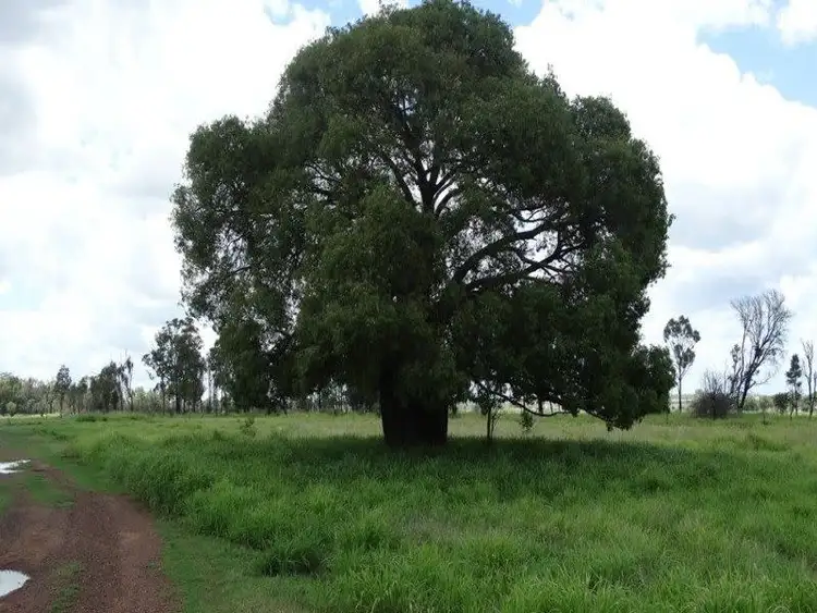 Sixth view of Homely rural property listing, 154 Jandowae East Road, Jandowae QLD 4410